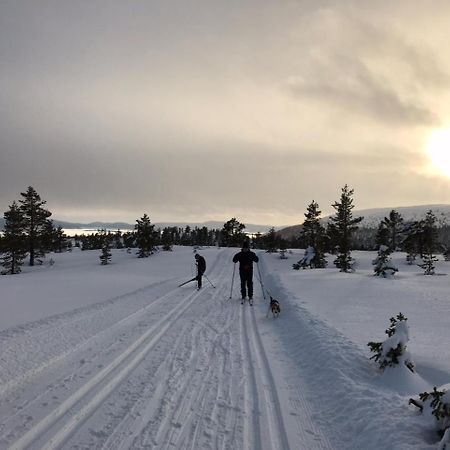 Hytta Pa Oyfjellヴィラ エクステリア 写真