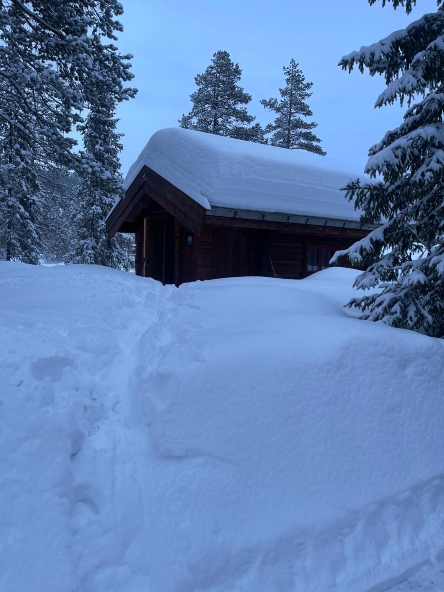 Hytta Pa Oyfjellヴィラ エクステリア 写真