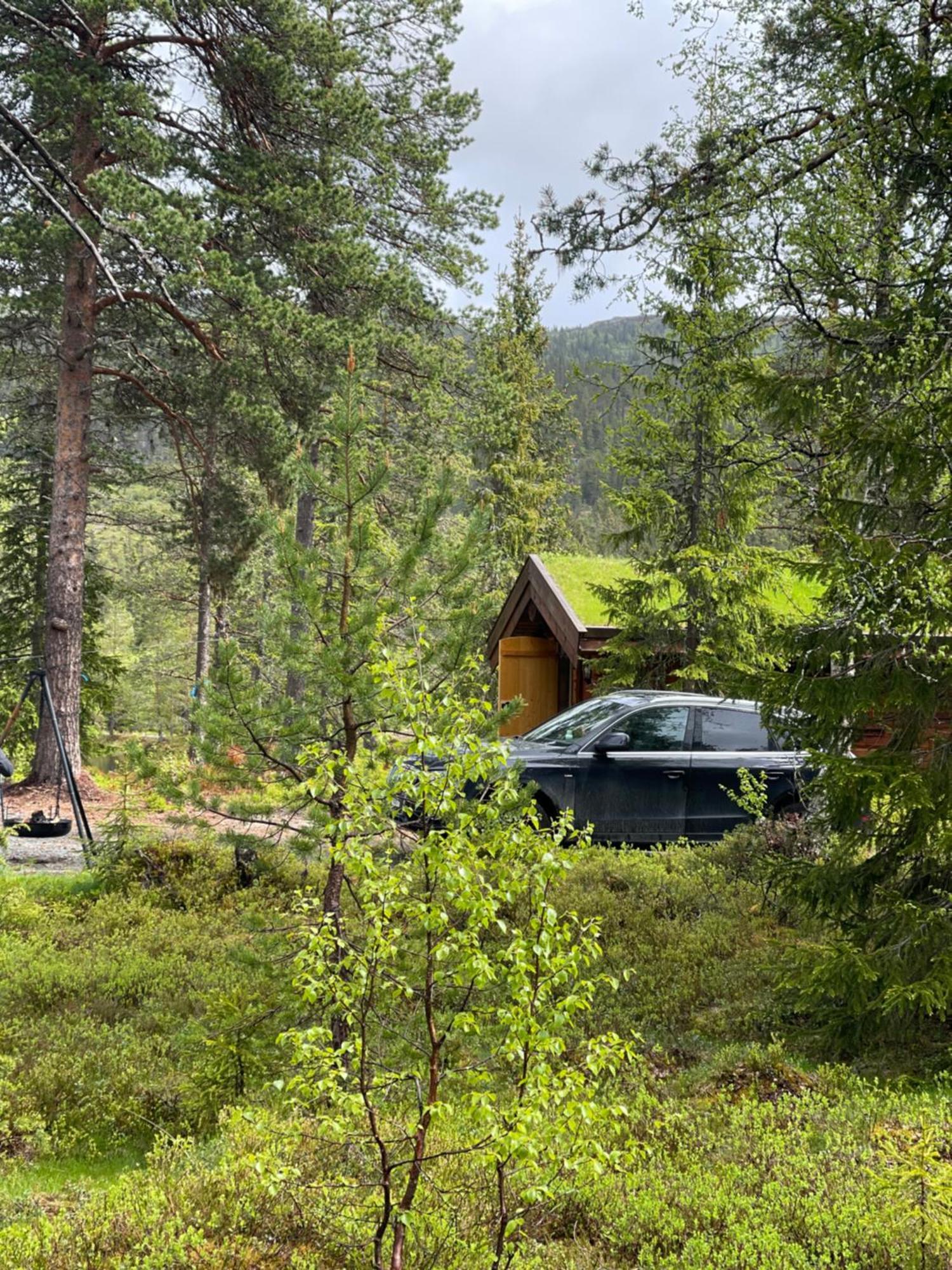 Hytta Pa Oyfjellヴィラ エクステリア 写真
