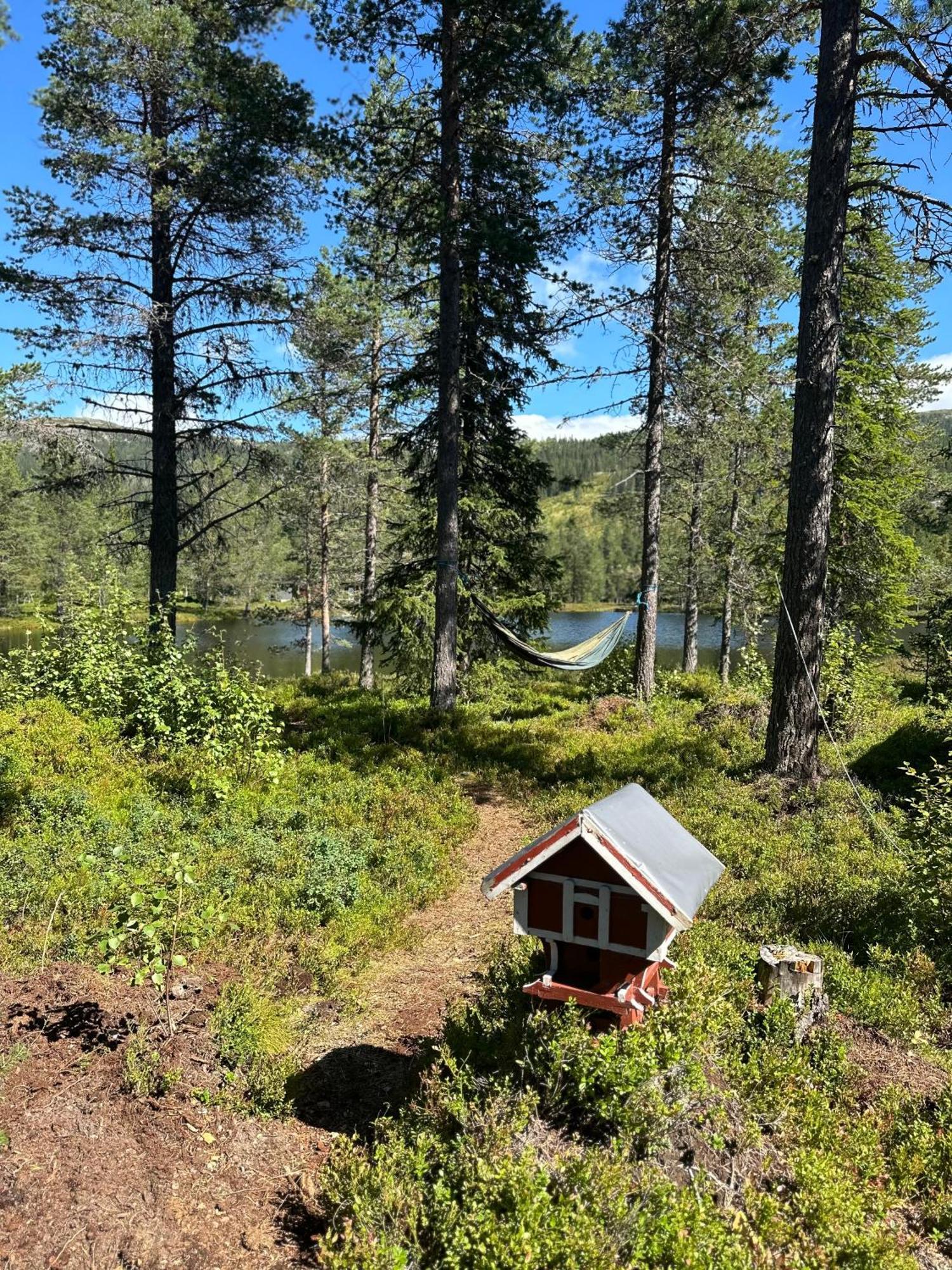 Hytta Pa Oyfjellヴィラ エクステリア 写真
