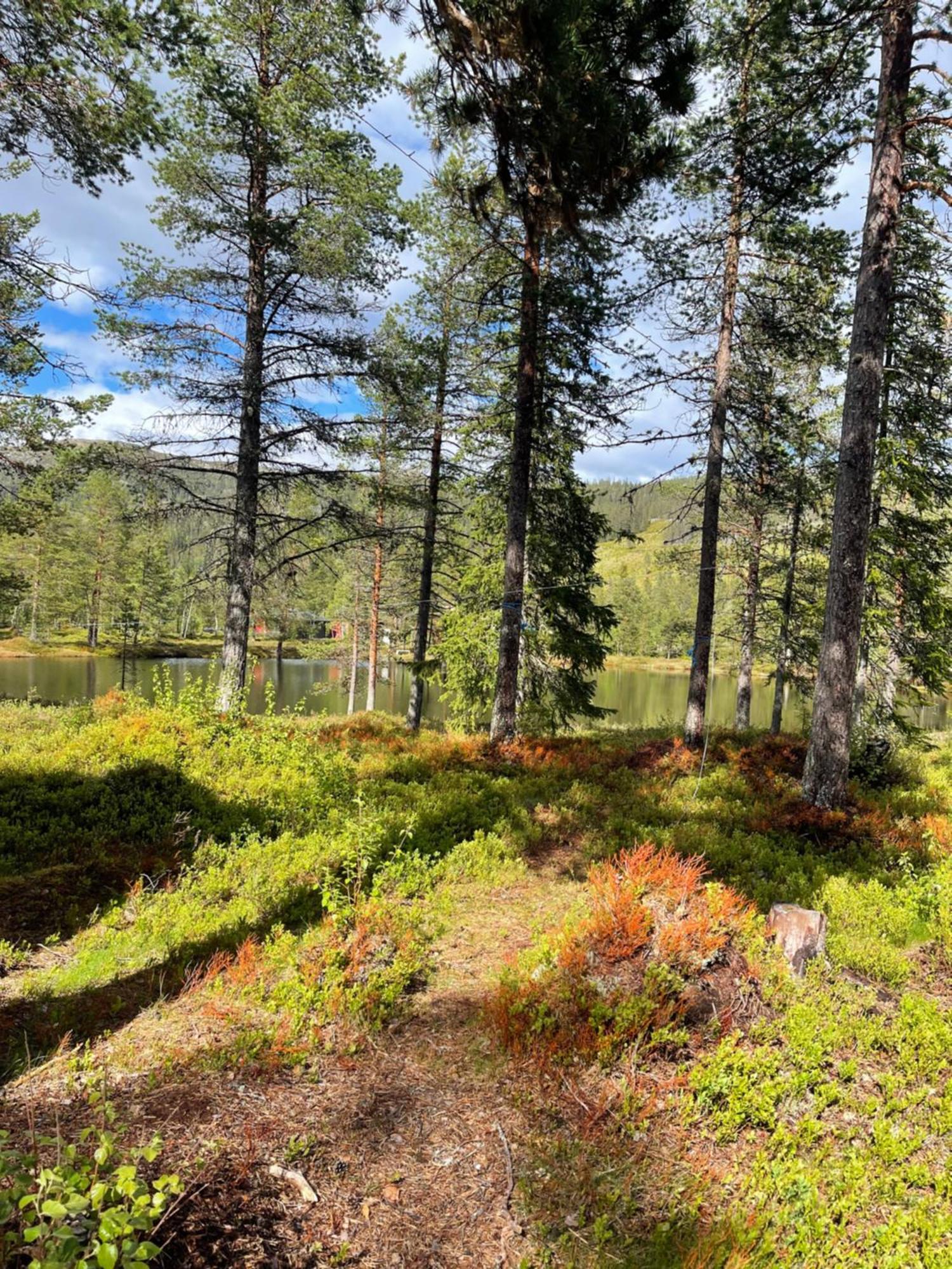 Hytta Pa Oyfjellヴィラ エクステリア 写真