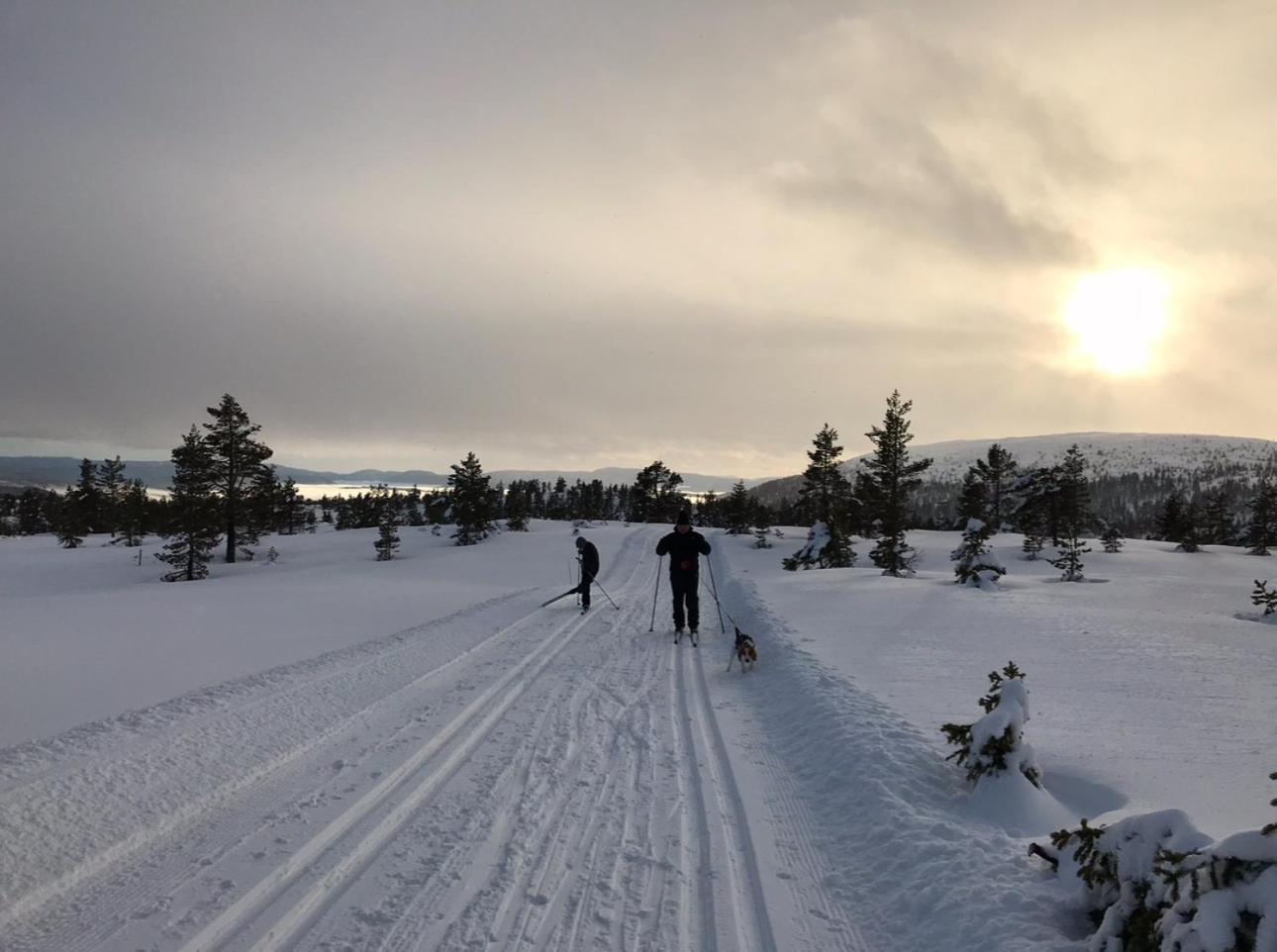 Hytta Pa Oyfjellヴィラ エクステリア 写真